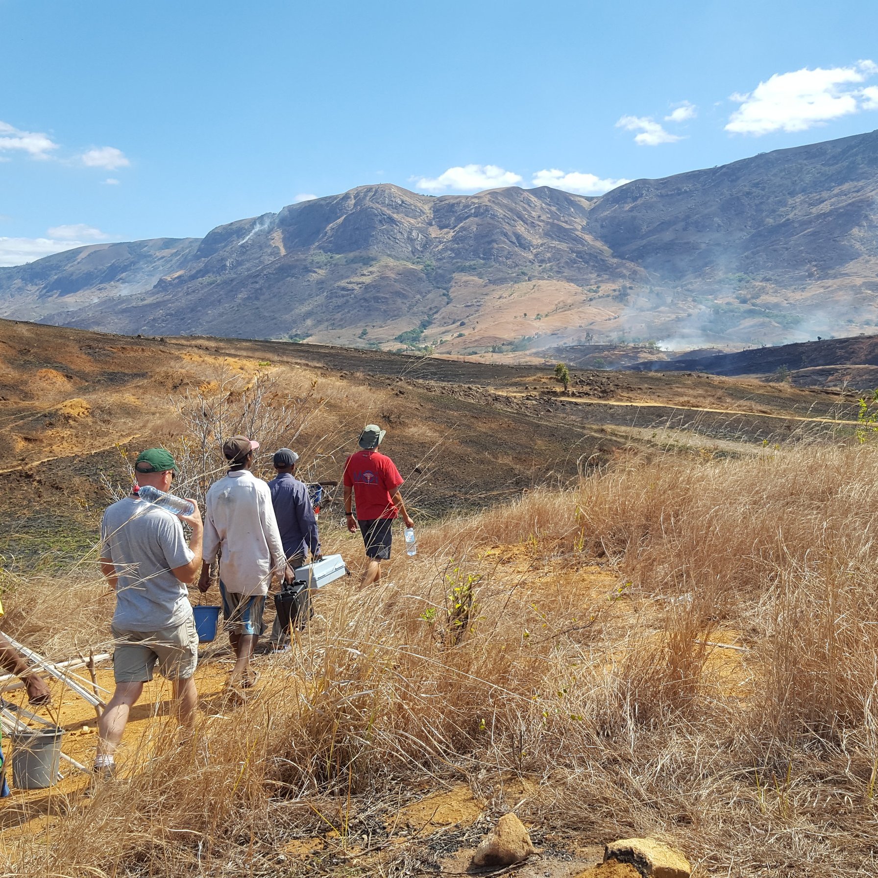 La scène dépeint un paysage rural habité par des personnes marchant sur un terrain partiellement brûlé. Au premier plan, plusieurs individus, habillés de vêtements décontractés, avancent avec des outils ou des équipements à la main. L'environnement est dominé par des herbes sèches et des terres noircies, traces d'un feu récent. À l'arrière-plan, on aperçoit des collines et des montagnes qui se dressent majestueusement sous un ciel bleu parsemé de nuages blancs. L'atmosphère est celle d'une randonnée dans la nature, mêlant effort humain et les conséquences d'une activité agricole ou un incendie. L'ensemble évoque une interaction entre l'homme et son environnement, avec une certaine gravité due à la destruction visible.