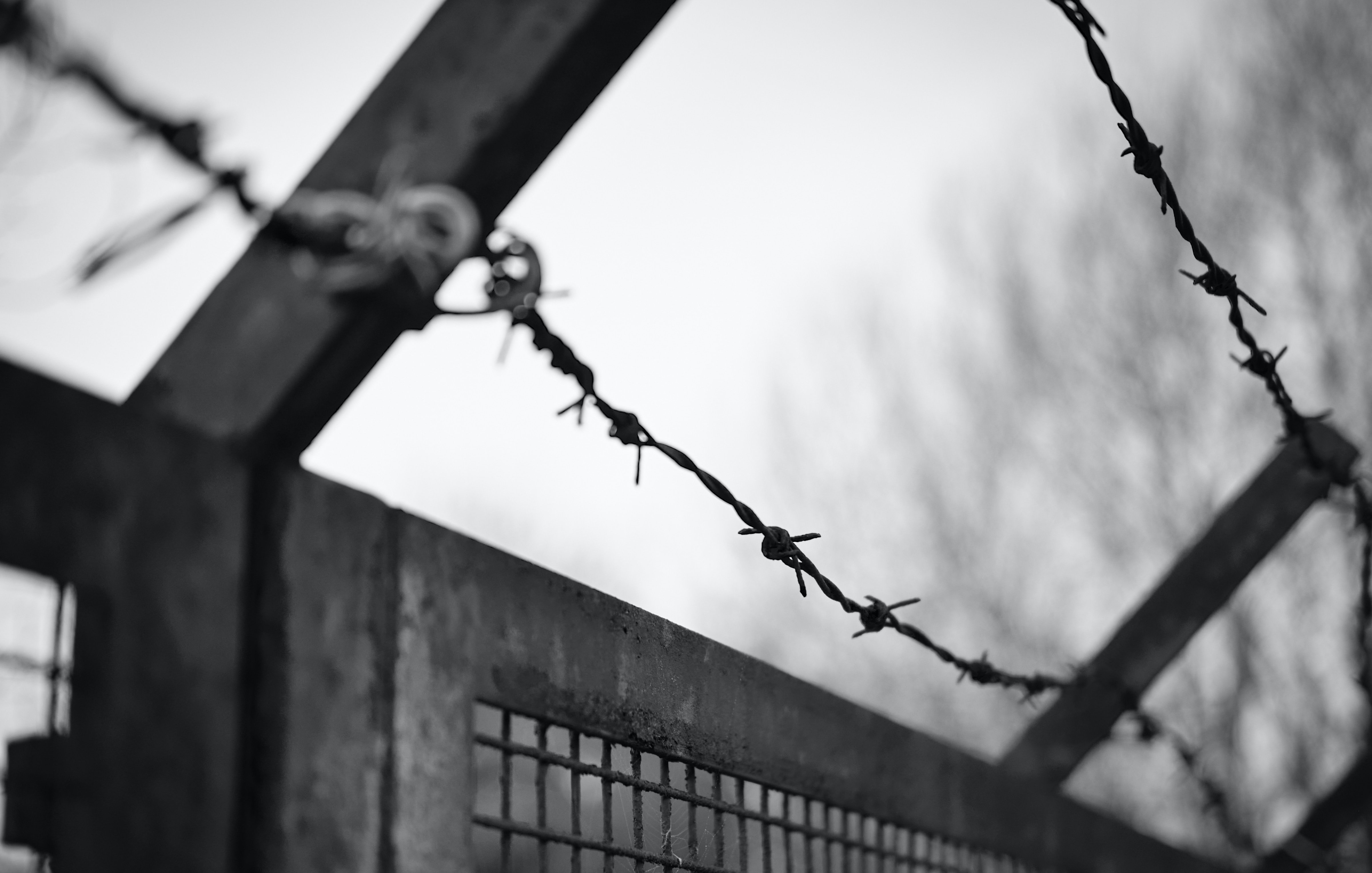 L'image montre un gros plan d'une clôture en métal recouverte de barbelés. La clôture est construite en sections avec des mailles qui forment un motif géométrique. Les barbelés sont enroulés à travers les poteaux de la clôture, ajoutant une impression de sécurité et de confinement. En arrière-plan, on peut deviner des arbres flous, suggérant un environnement extérieur, mais l'accent est mis sur la structure de la clôture. L'image est en noir et blanc, ce qui accentue la texture du métal et crée une atmosphère mélancolique.