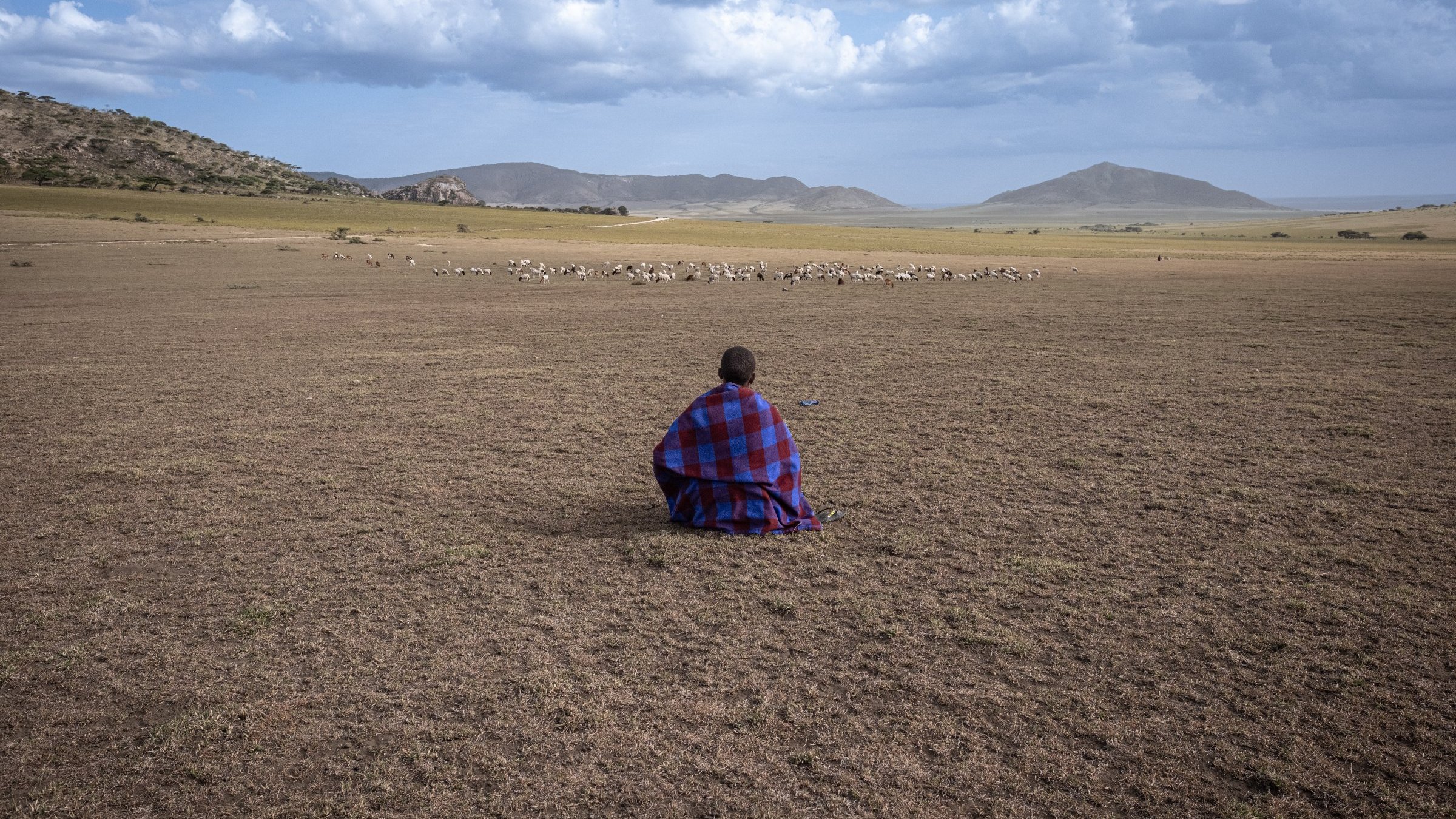 L'image montre un vaste paysage ouvert, probablement dans une région africaine. Au premier plan, on voit une personne assise, portant un vêtement traditionnel aux motifs colorés, principalement rouge et bleu. Elle est tournée vers un groupe d'animaux, probablement des moutons, qui paissent à une certaine distance. Le sol est sec et herbeux, et l'arrière-plan présente des collines douces sous un ciel partiellement nuageux. L'ambiance dégage une impression de tranquillité et de connexion à la nature.