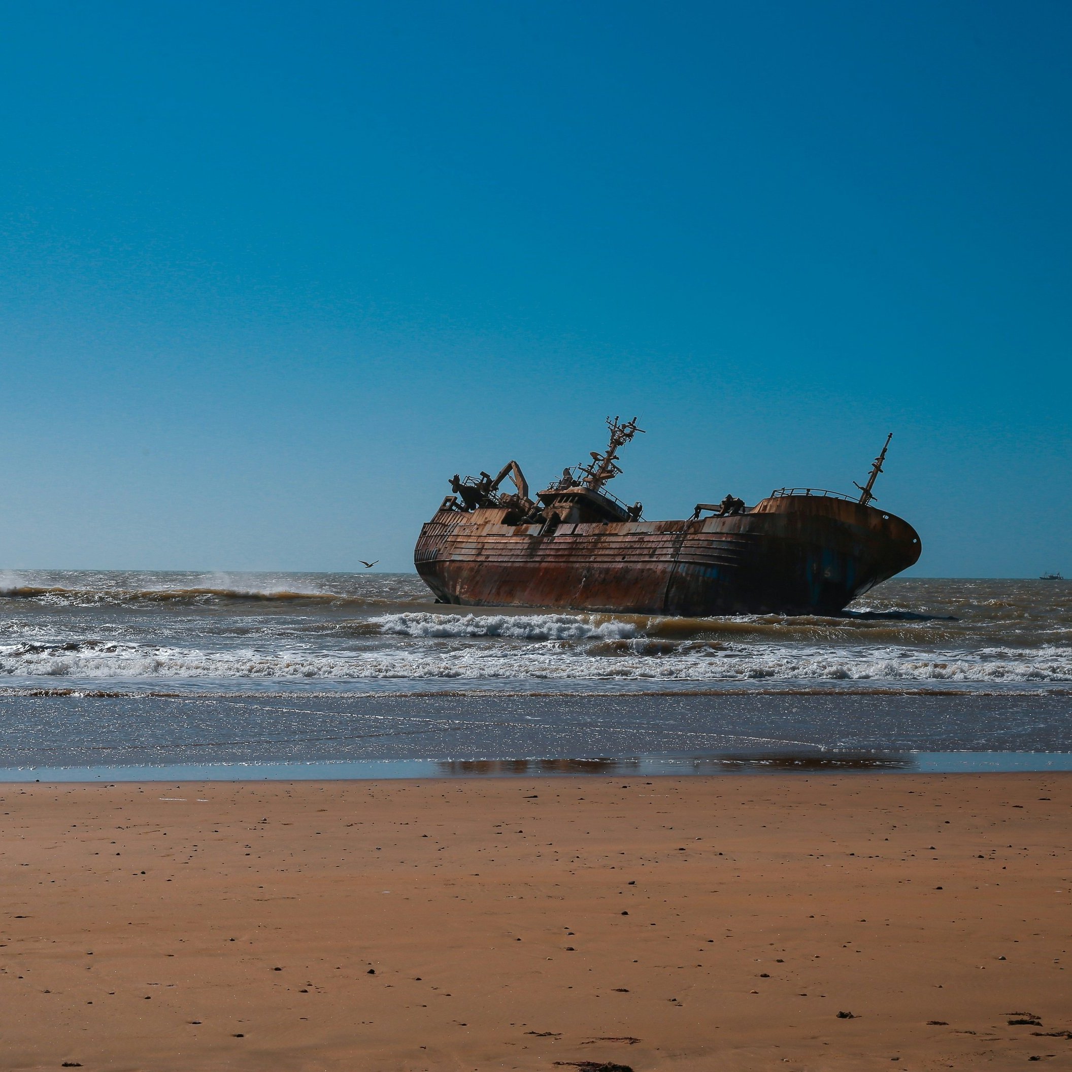L'image montre un vieux navire échoué sur une plage. Le bateau, rouillé et usé par le temps, repose partiellement immergé dans les vagues calmes de l'océan. En arrière-plan, le ciel est d'un bleu éclatant, sans nuages, tandis que les vagues viennent s'écraser doucement sur le sable doré de la plage. L'atmosphère est à la fois tranquille et mélancolique, évoquant une histoire de voyages passés et d'abandon. Sur la droite, on peut apercevoir quelques oiseaux volant au-dessus de l'eau.
