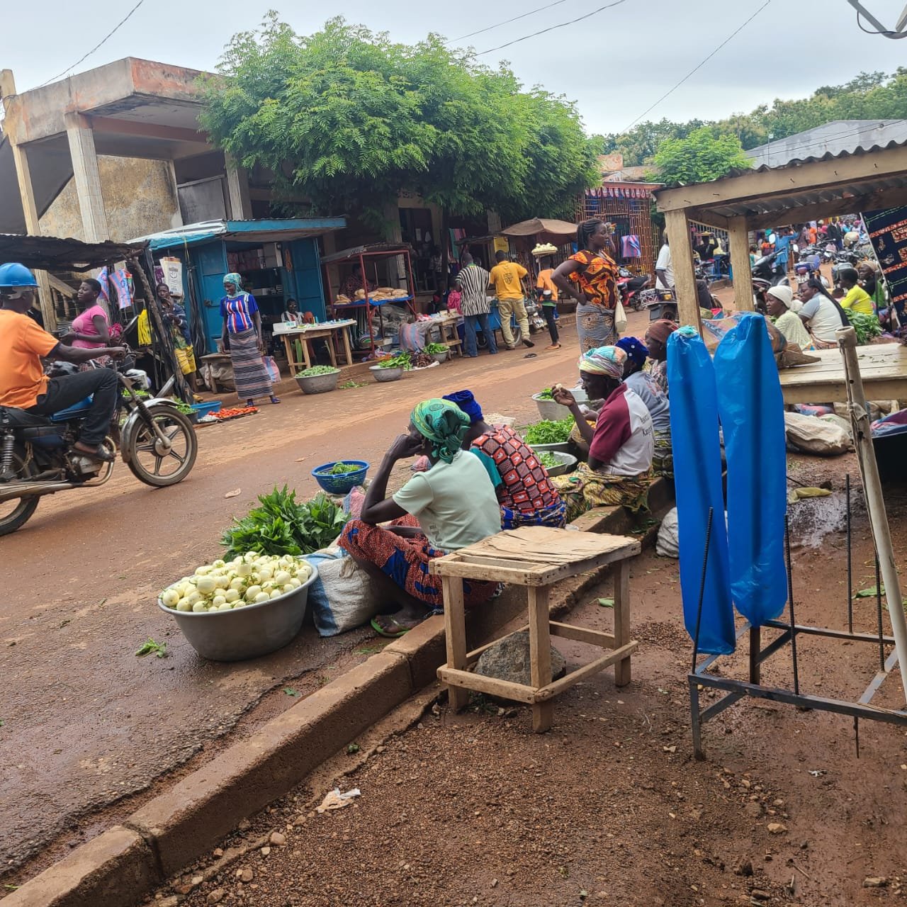 L'image montre une scène de marché vivant. Sur un chemin en terre battue, des femmes sont assises sur des banquettes en bois, entourées de paniers et de légumes frais. Certaines des femmes portent des tissus colorés et des foulards sur la tête, et elles semblent occupées à vendre des produits comme des légumes verts. En arrière-plan, des vendeurs s'affairent et des clients circulent. Des motos passent également sur la route, ajoutant à l'animation du lieu. L'atmosphère générale est vibrante, illustrant la vie quotidienne d'un marché local. Des arbres feuillus offrent une ombre bienvenue, tandis que des bâtiments modestes bordent la rue.