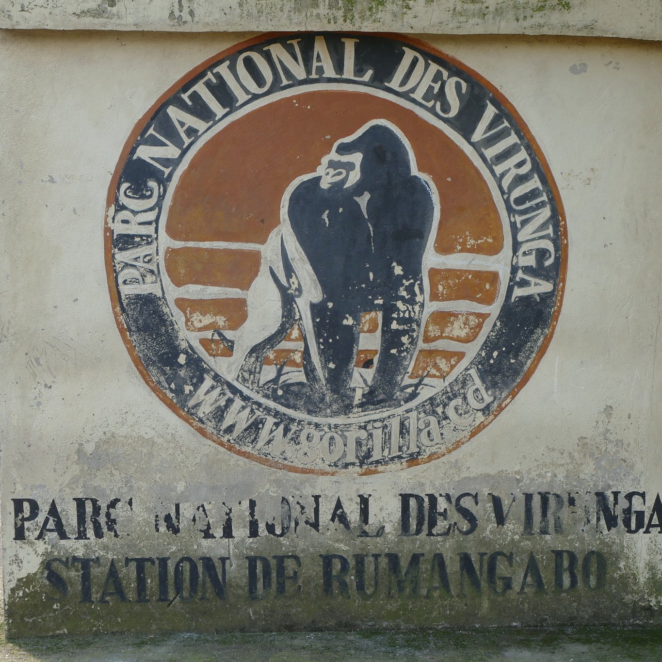 L'image montre un panneau en béton qui indique l'entrée du Parc National des Virunga. Le panneau est décoré d'un logo représentant un gorille, qui est l'un des emblèmes du parc. Les mots "PARC NATIONAL DES VIRUNGA" et "STATION DE RUMANGABO" sont inscrits en lettres claires sur la surface du panneau. En arrière-plan, on peut apercevoir des bâtiments et une route qui semble mener vers la nature environnante. L'ensemble de la scène évoque une atmosphère d'aventure et de préservation de la faune.