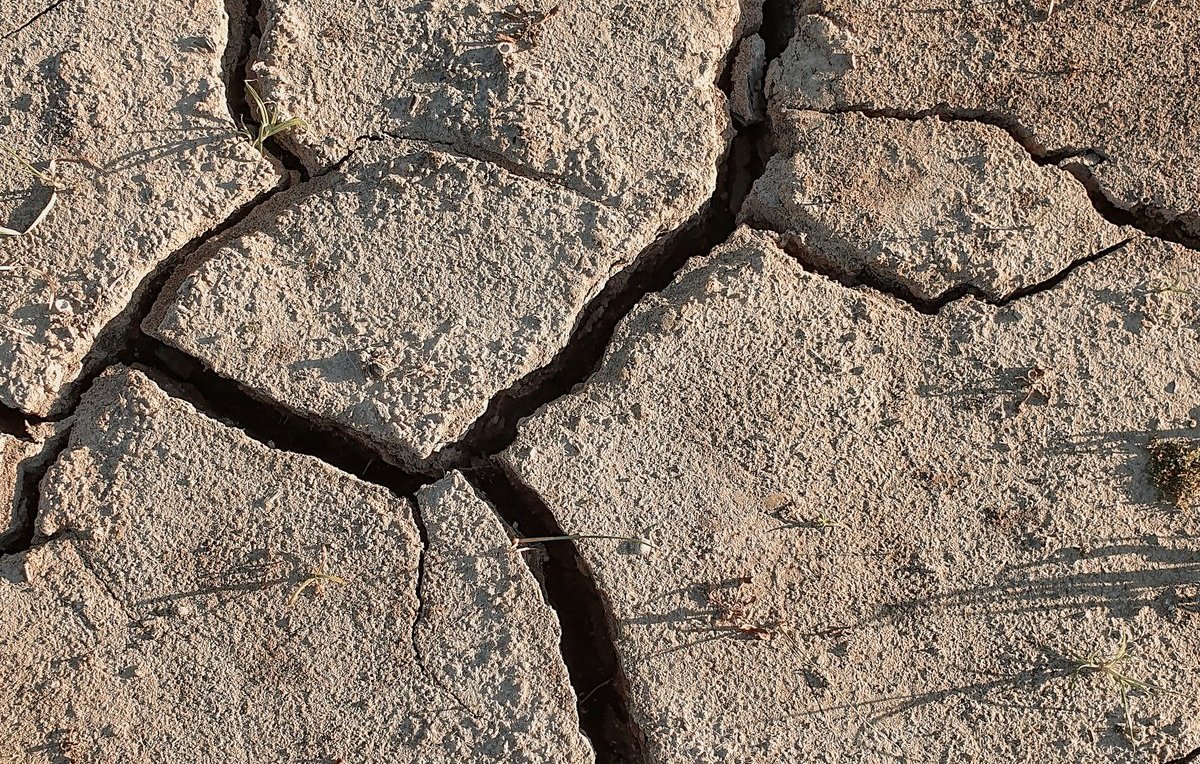 L'image montre un terrain aride et craquelé. Les fissures forment des motifs irréguliers sur la surface, révélant une texture rugueuse et sèche. On peut imaginer que ce sol est très dur, probablement en raison d'un manque d'eau. Quelques petits brins d'herbe peuvent être aperçus parmi les crevasses, suggérant une vie persistante malgré les conditions difficiles. L'ensemble évoque une ambiance de chaleur et de sécheresse.