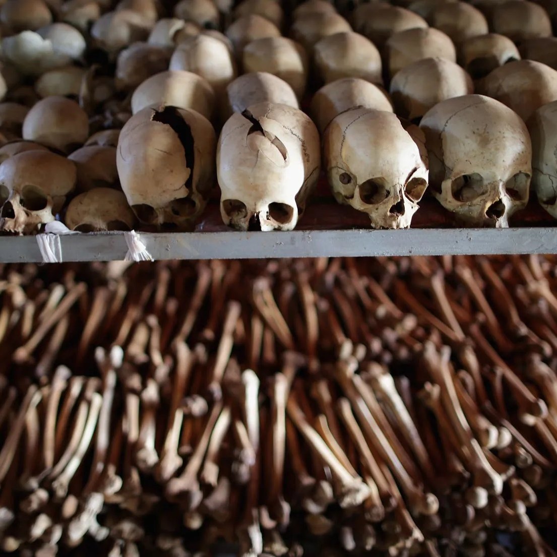 L'image montre un ensemble de crânes humains disposés sur une étagère, alignés les uns à côté des autres. Les crânes sont de couleur crème, certains présentent des fissures, témoignant du passage du temps. En dessous des crânes, on peut apercevoir une vaste collection d'os longs, probablement des os des bras et des jambes, également organisés en rangées. L'atmosphère de l'image est sombre et solennelle, évoquant un lieu de mémoire ou un site historique lié à la mort et à la mémoire des défunts.