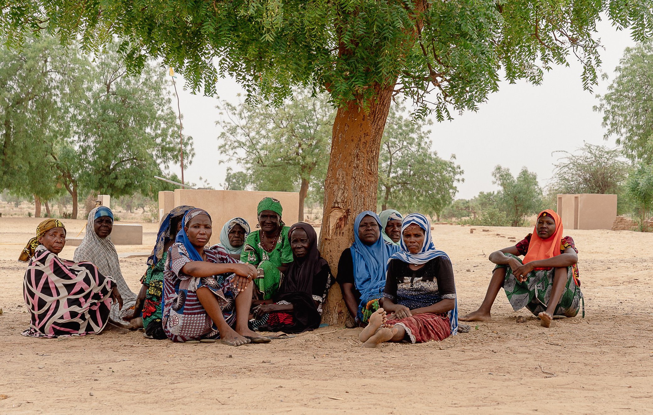 L'image montre un groupe de femmes assises en cercle sous un grand arbre. Elles sont vêtues de vêtements colorés et variés, avec des tissus typiques qui reflètent leur culture. Certaines portent des foulards ou des châles sur la tête. Le sol est sablonneux, et en arrière-plan, on aperçoit des parcelles de terre et quelques petits arbres. L'ambiance semble tranquille et conviviale, comme si elles partageaient un moment de conversation ou de repos. Le ciel est clair, et la lumière met en valeur les couleurs de leurs tenues.