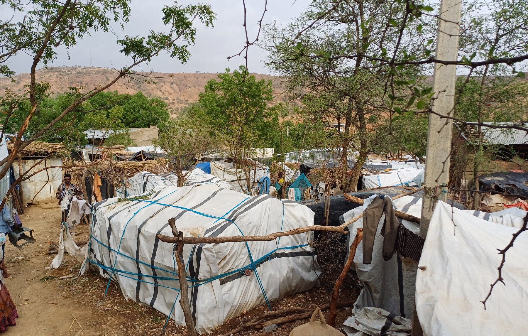L'image montre un espace de vie informel composé de plusieurs habitations temporaires. Les maisons sont construites avec des matériaux comme des bâches blanches, des morceaux de toile et des branches, ce qui leur donne un aspect rustique. On peut voir des vêtements accrochés à l'extérieur, indiquant la présence des habitants. Le paysage environnant est légèrement vallonné, avec des collines en arrière-plan et de la végétation sporadique, notamment des arbres. Le ciel est nuageux, créant une ambiance calme mais légèrement mélancolique. Ce milieu semble être une communauté où la vie quotidienne se déroule dans un cadre naturel.