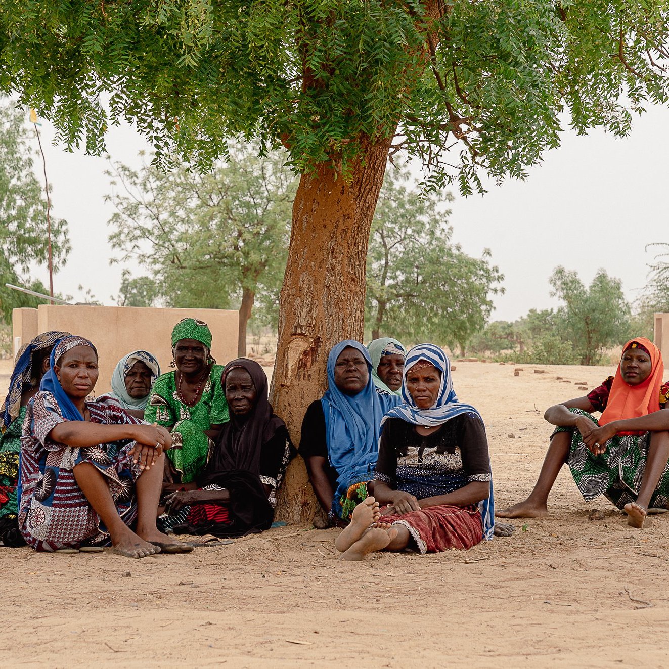 L'image montre un groupe de femmes assises en cercle sous un grand arbre. Elles sont vêtues de vêtements colorés et variés, avec des tissus typiques qui reflètent leur culture. Certaines portent des foulards ou des châles sur la tête. Le sol est sablonneux, et en arrière-plan, on aperçoit des parcelles de terre et quelques petits arbres. L'ambiance semble tranquille et conviviale, comme si elles partageaient un moment de conversation ou de repos. Le ciel est clair, et la lumière met en valeur les couleurs de leurs tenues.