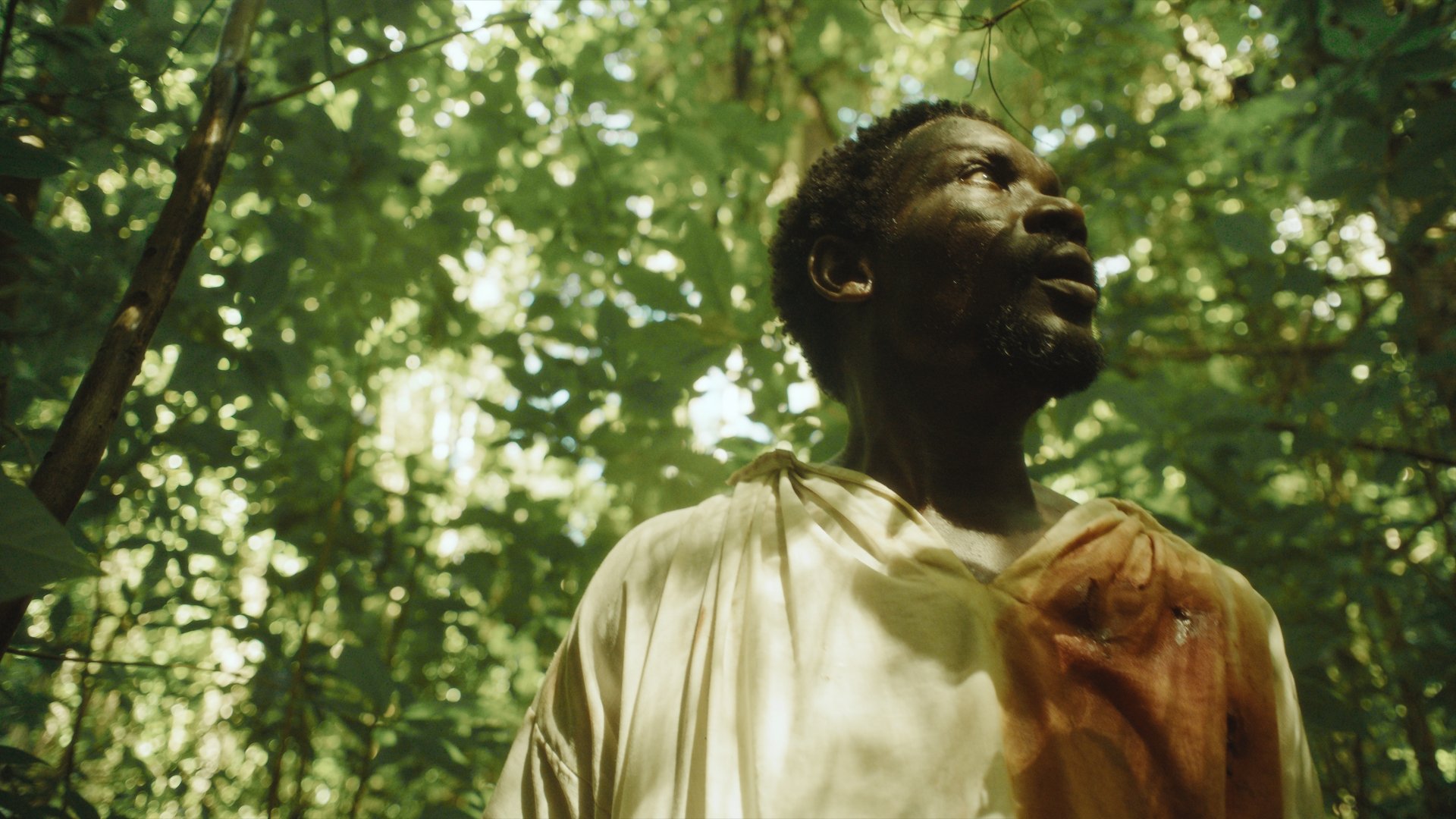 L'image montre un homme debout dans une jungle luxuriante. Il porte une tunique légère, dont une partie est tachée de rouge, suggérant un événement émotionnel ou tragique. Le visage de l'homme exprime la surprise ou l'inquiétude, avec des traits marqués par la lumière douce qui filtre à travers le feuillage dense. Les feuilles vertes et les ombres créent une atmosphère à la fois mystérieuse et intense, plongeant le spectateur dans l'ambiance d'une nature vibrante et sauvage. On peut imaginer les sons de la jungle, comme le chant des oiseaux et le bruissement des feuilles, qui entourent l'homme.