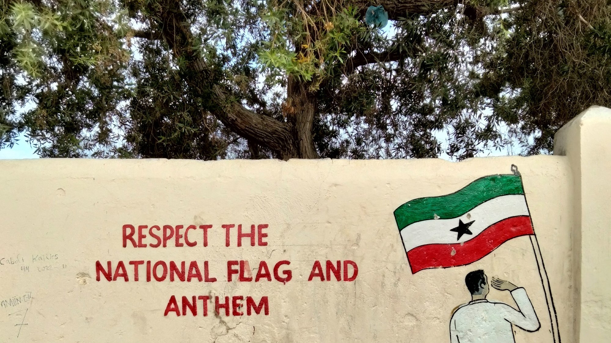 The image shows a mural on a wall featuring the phrase "RESPECT THE NATIONAL FLAG AND ANTHEM" written in bold, red letters. Next to the text, there is a painted figure of a person saluting while holding a flag that has green, white, and red stripes with a star in the center. The background includes a tree, suggesting an outdoor setting. The overall message promotes respect for the national symbols.