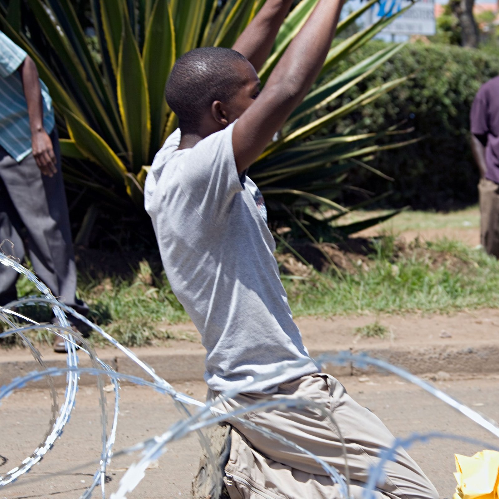 The image depicts a scene where a young man is on his knees, appearing to be in a moment of distress or surrender. He is surrounded by coils of barbed wire on the ground. In the background, there are several individuals observing the situation, some appearing to be standing casually while others are more focused on what is happening. The setting looks to be an outdoor area, possibly a street, with greenery in the background. The overall atmosphere seems tense and conveys a sense of conflict or protest.