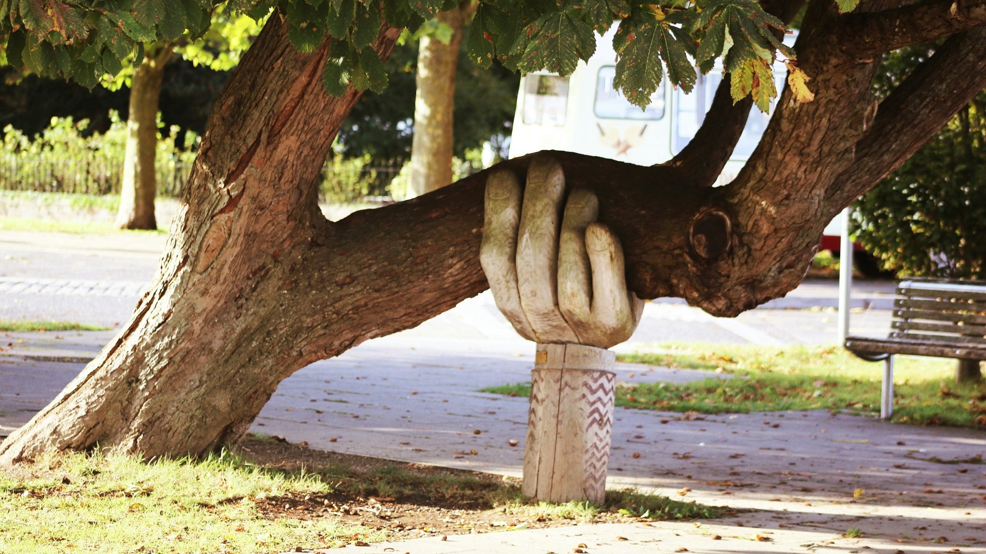 The image features a tree with a large, stylized hand sculpture appearing to hold onto a branch. The hand is carved out of a light-colored material and provides a whimsical or artistic touch to the scene. The setting appears to be a park, with grassy areas and pathways visible, along with some benches in the background. Sunlight filters through the leaves, creating a serene and inviting atmosphere.