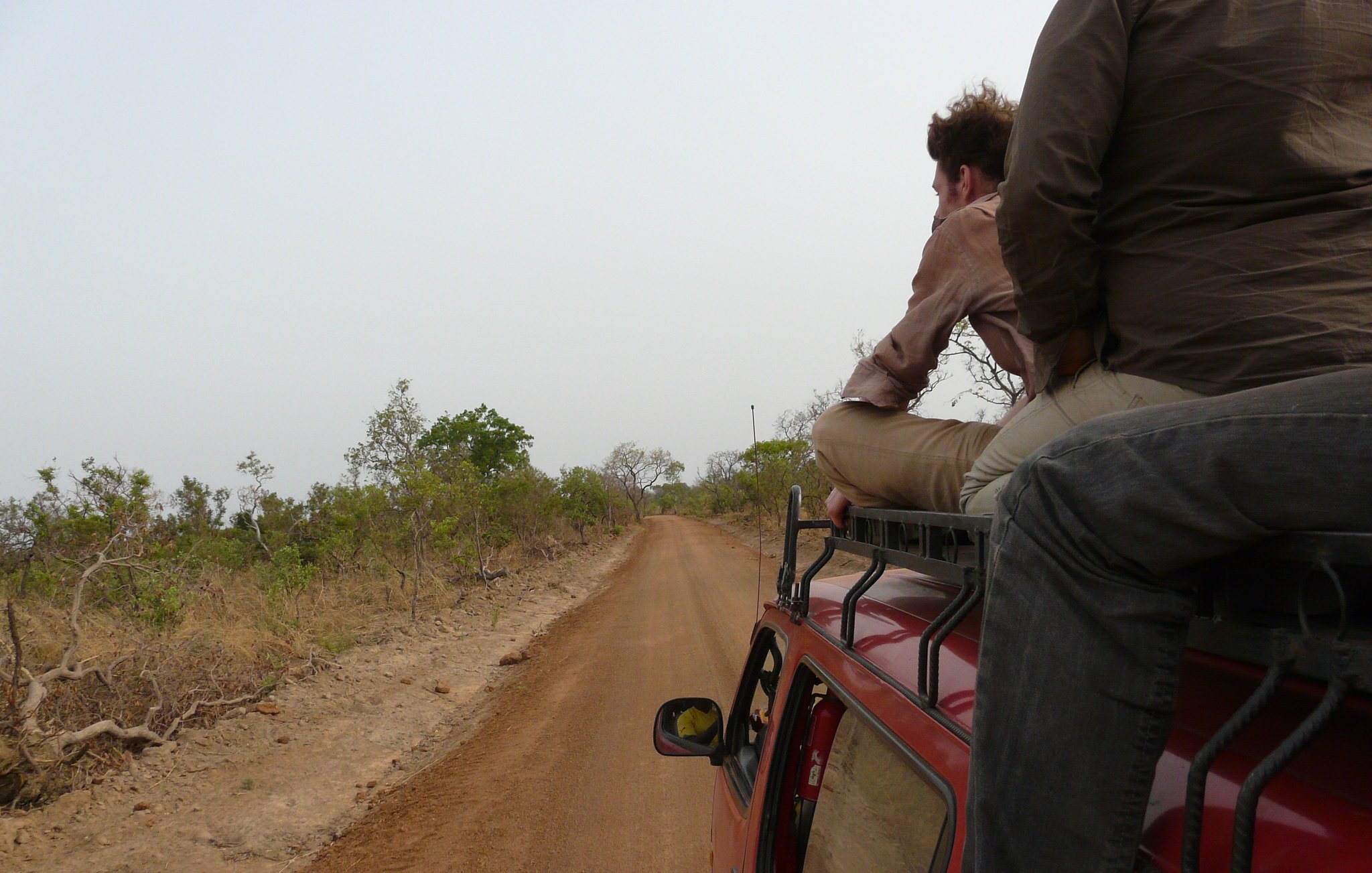 Imaginez un paysage d'arrière-pays, où un chemin de terre étroit s'étend devant vous. Sur les côtés, on peut voir de petites plantes et des buissons épars, témoignant d'une nature sauvagement préservée. La route est poussiéreuse et légèrement sinueuse, suggestive d'une aventure en milieu rural. Deux personnes sont assises sur le toit d'un véhicule, l'une d'elles se penche en arrière, le regard perdu au loin. La scène évoque un sentiment de liberté et d'exploration. L'air est probablement chargé de chaleur et du bruit léger de la nature environnante. Les couleurs sont chaudes, avec des teintes de rouge et de brun du sol, et un ciel lumineux qui crée une ambiance de voyage au cœur de la nature.