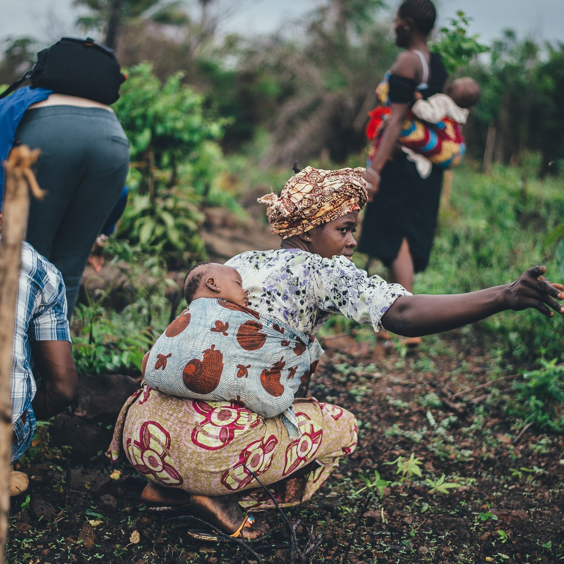 L'image montre un groupe de personnes travaillant dans un champ verdoyant. Au premier plan, une femme porte un foulard coloré et un vêtement à motifs, avec un bébé enveloppé dans un porte-bébé sur son dos. Elle tend son bras pour indiquer quelque chose dans le champ. À l'arrière-plan, d'autres personnes, y compris une femme portant un enfant et un homme vêtu d'une chemise à carreaux, sont occupées à planter ou à récolter. L'atmosphère est dynamique et témoigne d'un effort collectif au milieu d'une nature luxuriante. On peut sentir une ambiance de travail, de solidarité et de connexion avec la terre.
