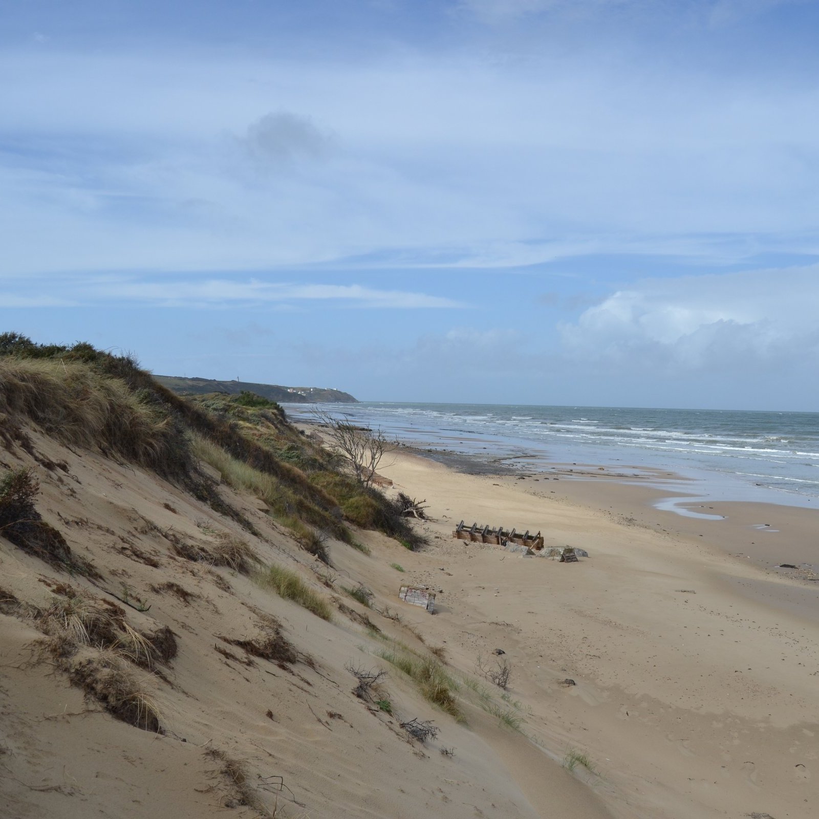Imaginez une plage tranquille, où le sable doré s'étend à perte de vue, bordée par des dunes douces et ondulantes. À gauche, des herbes et quelques buissons verdoyants se dressent sur les dunes, contraste parfait avec le ciel bleu souvent parsemé de nuages blancs et légers. En face, les vagues de l'océan viennent doucement toucher le rivage, créant un son apaisant. Au loin, on aperçoit un groupe de personnes, peut-être des marcheurs, qui se déplacent lentement le long de la plage, ajoutant une touche de vie à ce paysage naturel serein. Le tout évoque une atmosphère de calme et de connexion avec la nature.