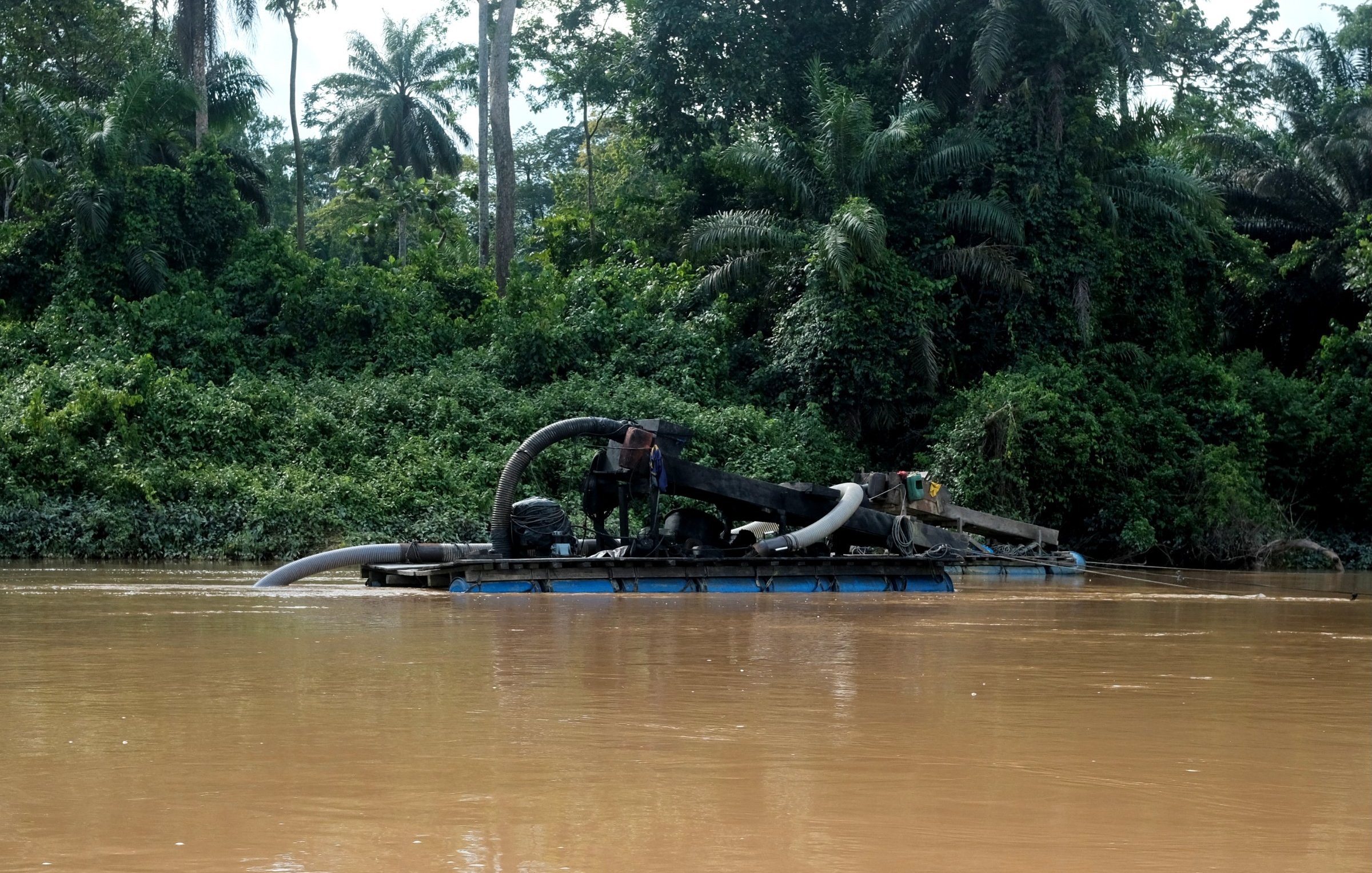 L'image montre un bateau sur une rivière aux eaux brunes. Ce bateau est équipé d'un grand tuyau qui semble aspirer de la matière de l'eau. À l'arrière-plan, on peut voir une végétation dense, composée de grandes plantes et d'arbres tropicaux, qui créent une ambiance naturelle et verdoyante. La scène évoque une activité liée à l'extraction de ressources, probablement de l'or ou des minéraux, dans un environnement de jungle.