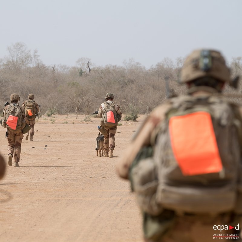 L'image représente un groupe de soldats marchant sur un terrain désertique. Ils avancent en formation, avec des sacs à dos sur le dos et des gilets militaires. Certains d'entre eux portent des dossards orange vif qui se distinguent dans le paysage aride. À côté d'un des soldats, un chien accompagne le groupe. L'environnement est sec, avec quelques arbres épars en arrière-plan et un ciel clair. L'atmosphère semble sérieuse et déterminée.