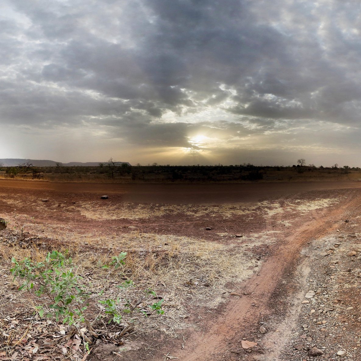 The image features a vast landscape under a cloudy sky, with the sun partially obscured by clouds, casting a soft light across the scene. The ground is dry and dusty, with patches of bare earth and sparse vegetation, including small plants and grasses. In the foreground, a path or trail diverges, leading into the distance, suggesting a sense of exploration in this open, natural environment. The overall tone is tranquil and somewhat desolate, evoking a sense of solitude in nature.