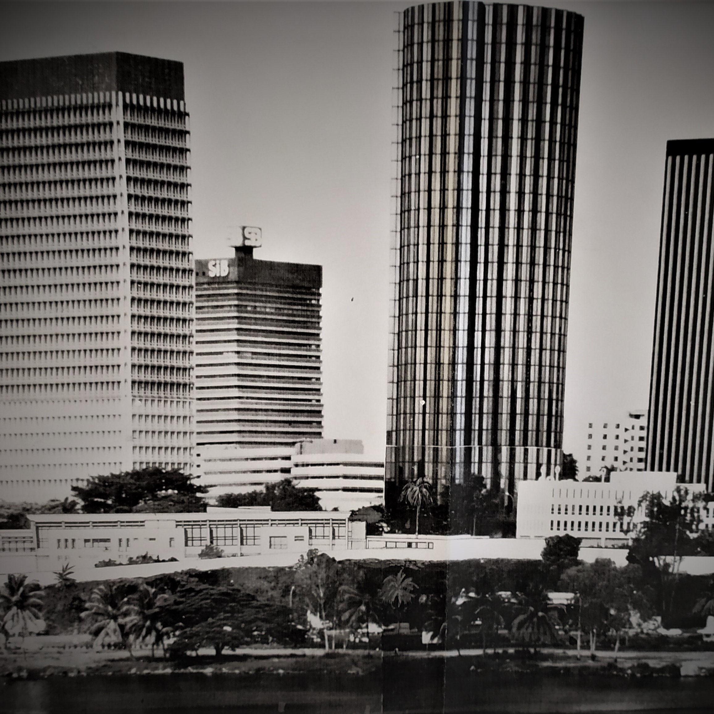 L'image présente un paysage urbain en noir et blanc, mettant en avant plusieurs gratte-ciels modernes. À gauche, on voit un bâtiment rectangulaire avec une surface lisse, tandis qu'un autre, plus haut et avec des fenêtres brillantes, est au centre. À droite, un troisième gratte-ciel, plus fin, se dresse avec des lignes verticales qui accentuent sa hauteur. Au premier plan, on aperçoit une verdure, probablement des palmiers, qui contraste avec la rigueur des bâtiments. L'ensemble dégage une ambiance à la fois dynamique et architecturale.