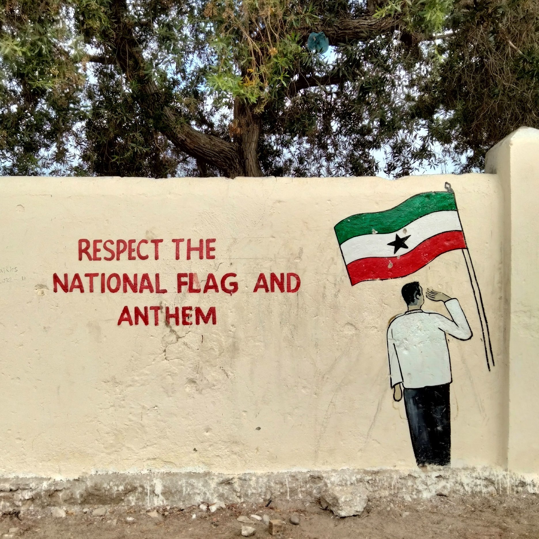 The image shows a mural on a wall featuring the phrase "RESPECT THE NATIONAL FLAG AND ANTHEM" written in bold, red letters. Next to the text, there is a painted figure of a person saluting while holding a flag that has green, white, and red stripes with a star in the center. The background includes a tree, suggesting an outdoor setting. The overall message promotes respect for the national symbols.