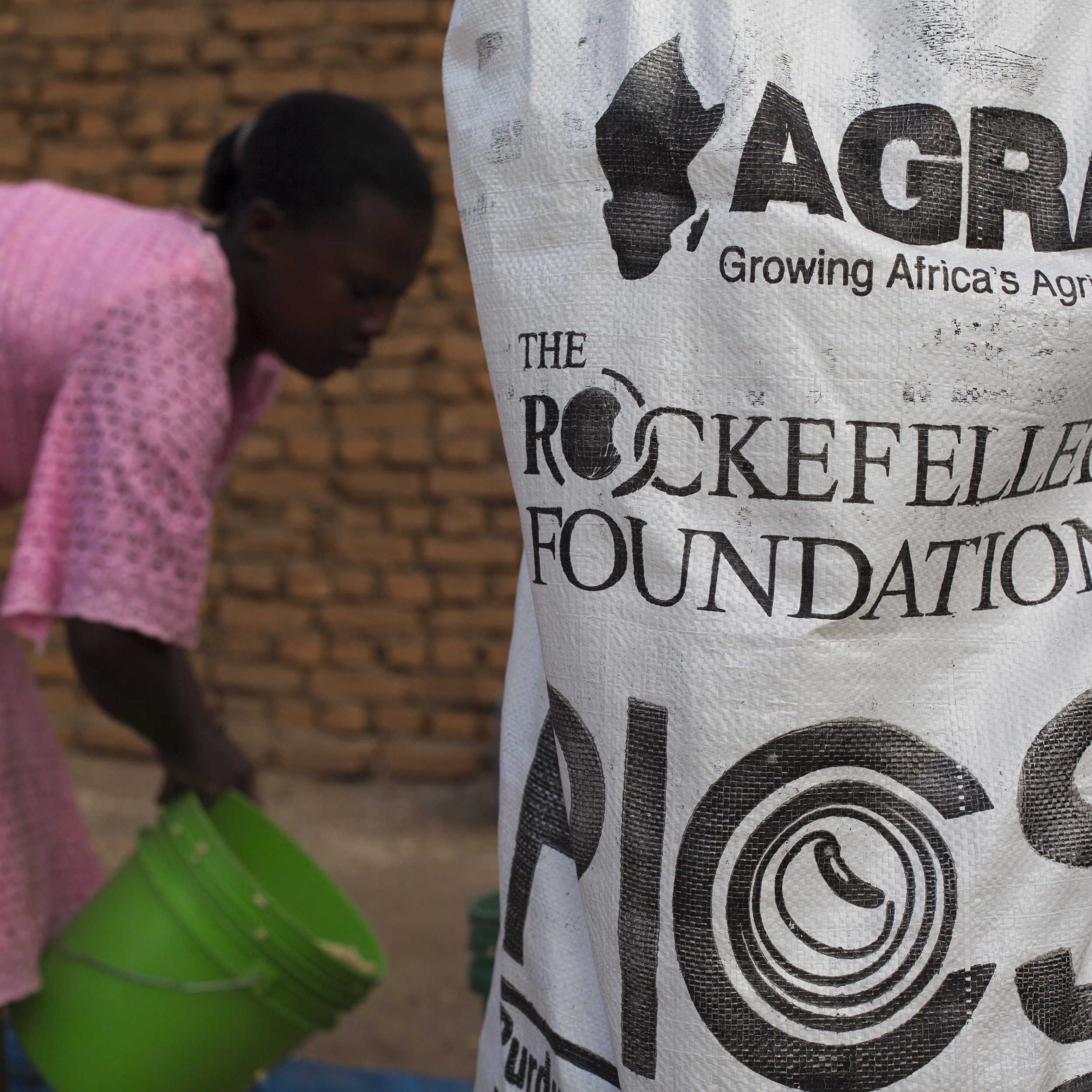 Sur l'image, on peut voir une femme vêtue d'une robe rose, penchée en train de remplir un seau vert. Elle est dans un environnement extérieur, peut-être une zone de travail ou d'agriculture. À l'avant-plan, un grand sac en plastique est visible, portant les logos de l'AGRA (Alliance for a Green Revolution in Africa) et de la Fondation Rockefeller, ainsi que l'inscription "PICS". Ce sac semble contenir des produits liés à l'agriculture. L'ambiance générale évoque une activité de soutien à l'agriculture, probablement liée à la cohésion communautaire et au développement durable. Le fond est constitué de briques, suggérant un cadre simple et rural.