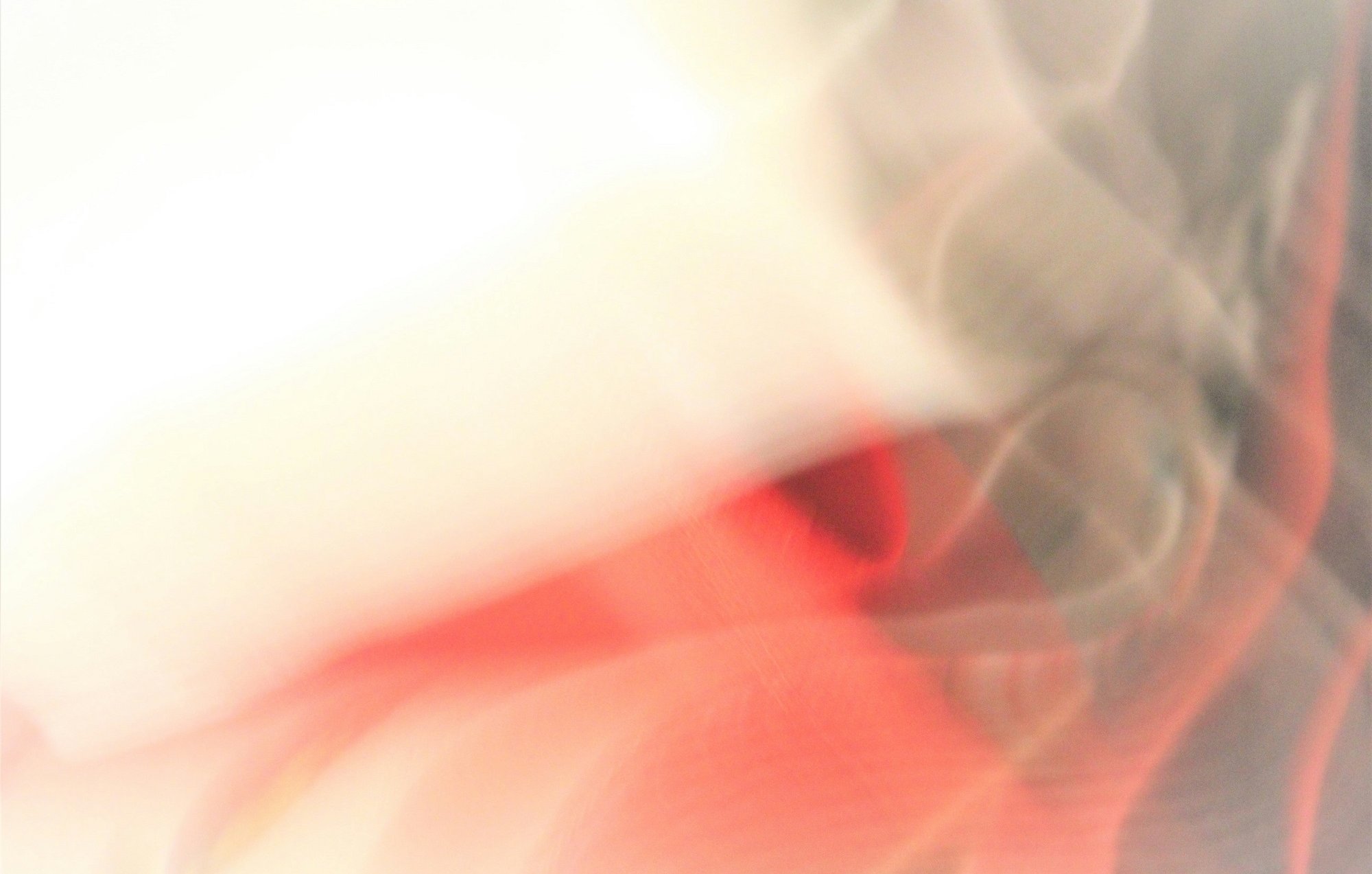 L'image présente une composition abstraite où les couleurs se mêlent de manière floue. On distingue des nuances de rouge et de blanc, créant un effet de mouvement et de fluidité. Les contours des formes ne sont pas nets, ce qui donne une impression de douceur et de légèreté. L'ensemble évoque une atmosphère onirique, presque éthérée, sans éléments définis, permettant ainsi à l'imagination de vagabonder librement.