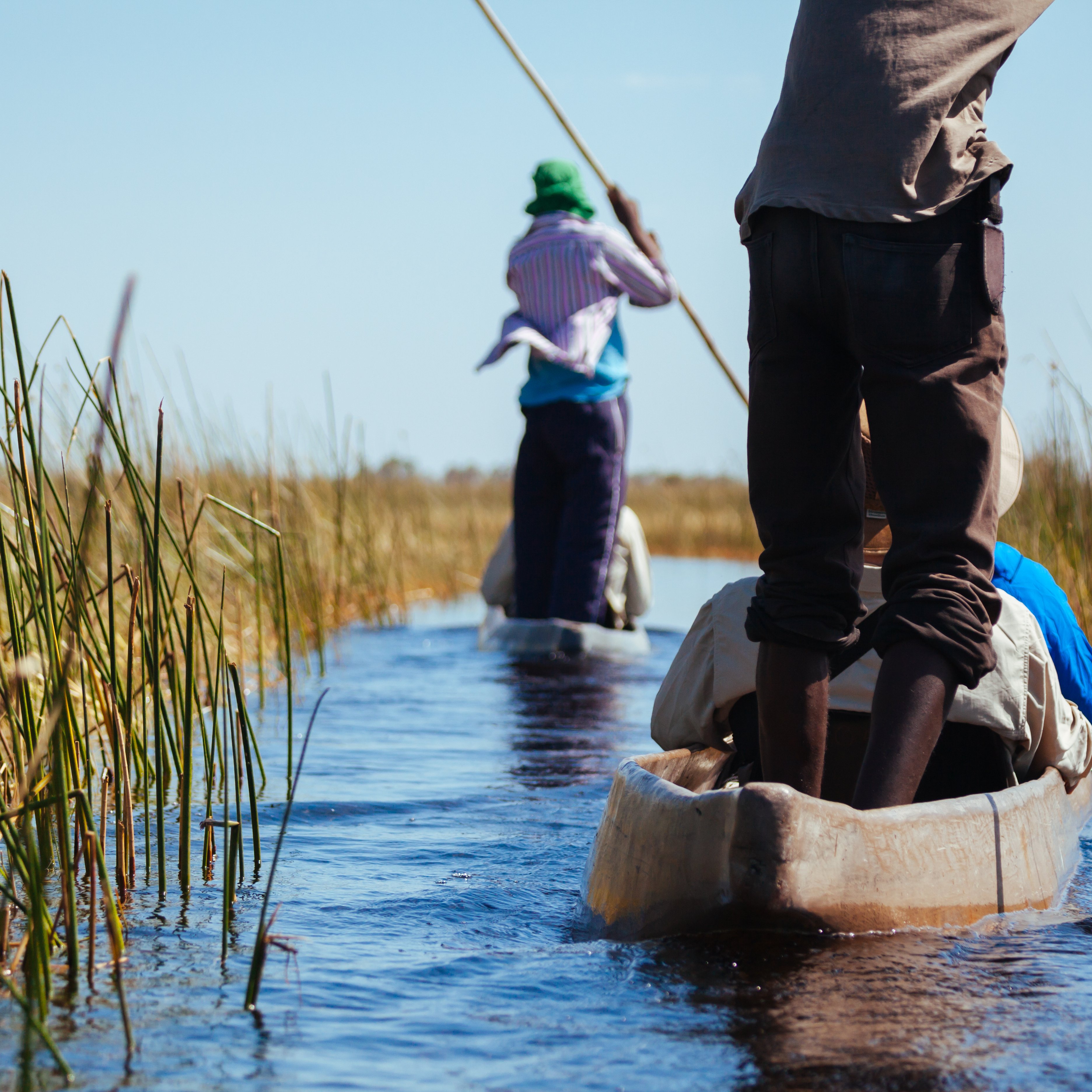 Sur cette image, on voit des personnes naviguant dans des canots en bois au milieu d'un paysage aquatique. L'eau est calme et reflète le ciel bleu. Des herbes vertes et hautes bordent le chemin, créant un contraste avec les canots. Les rames des pagayeurs, qui sont en partie flous, indiquent le mouvement. Le soleil semble briller, apportant une ambiance chaleureuse et naturelle à cette scène paisible. La composition suggère une connexion harmonieuse entre les hommes et la nature environnante.