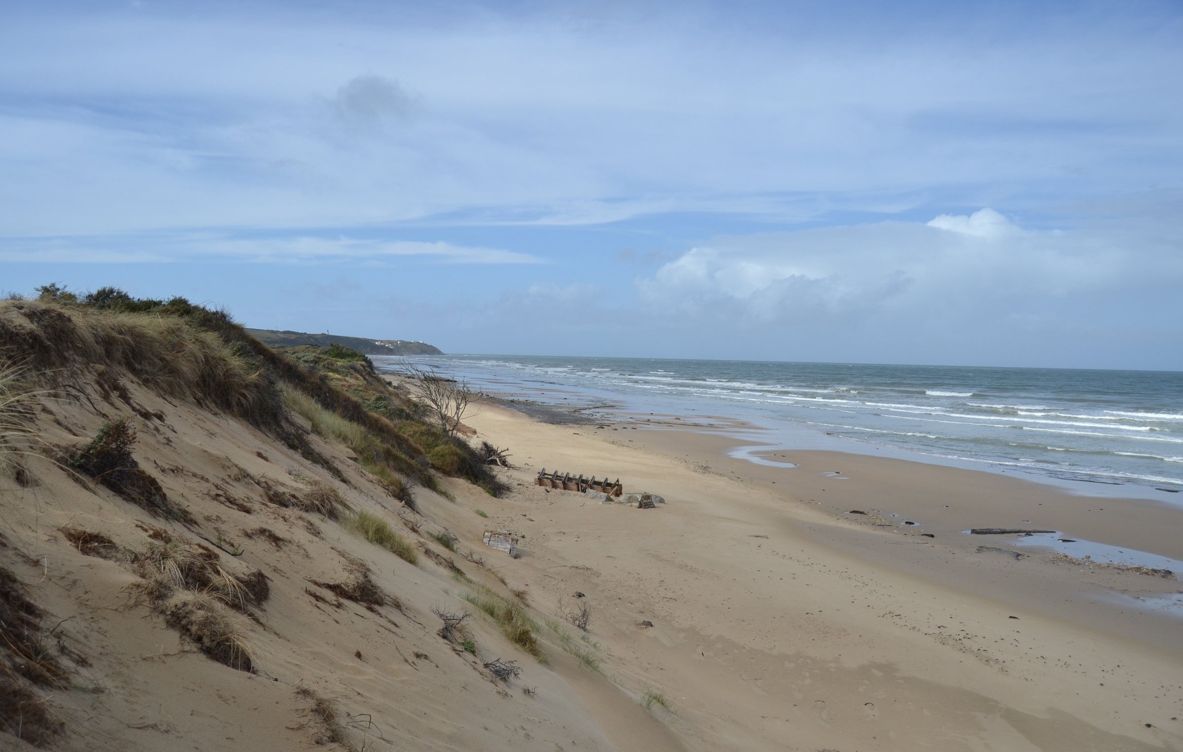 Imaginez une plage tranquille, où le sable doré s'étend à perte de vue, bordée par des dunes douces et ondulantes. À gauche, des herbes et quelques buissons verdoyants se dressent sur les dunes, contraste parfait avec le ciel bleu souvent parsemé de nuages blancs et légers. En face, les vagues de l'océan viennent doucement toucher le rivage, créant un son apaisant. Au loin, on aperçoit un groupe de personnes, peut-être des marcheurs, qui se déplacent lentement le long de la plage, ajoutant une touche de vie à ce paysage naturel serein. Le tout évoque une atmosphère de calme et de connexion avec la nature.