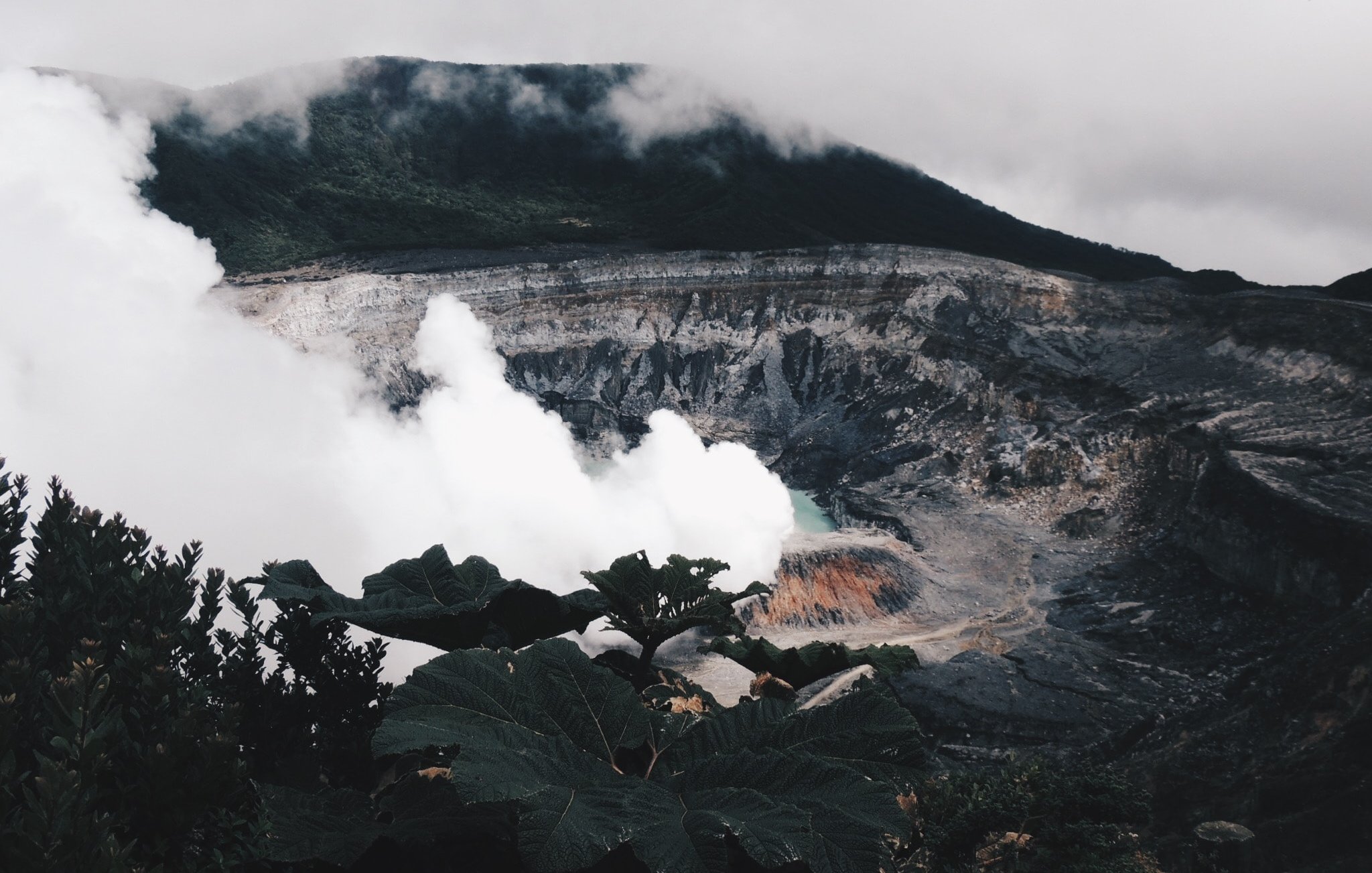 L'image représente un volcan majestueux, entouré de nature. Au premier plan, de grandes feuilles vertes ajoutent une touche de verdure. En arrière-plan, on peut apercevoir la caldeira du volcan, où des nuages de vapeur blanche s'échappent, créant une atmosphère mystérieuse. Le ciel est couvert de nuages, laissant transparaître une lumière diffuse, tandis que les parois du volcan sont marquées par des teintes terreuses, mêlant le gris et le brun. La scène évoque une puissance naturelle, accentuée par le son potentiel du souffle de la terre.