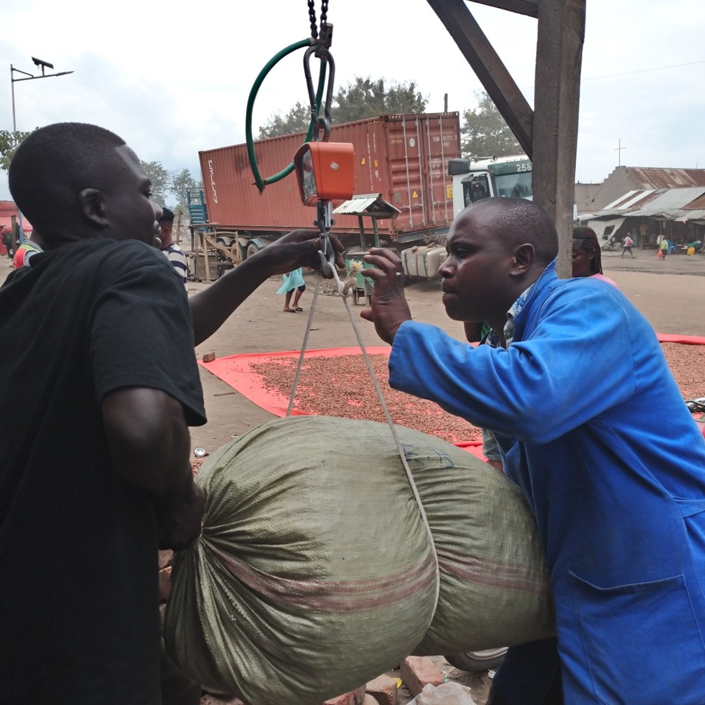 Dans cette image, deux hommes interagissent dans un environnement de marché. L'un des hommes, en tenue bleue, est en train de peser un gros sac à l'aide d'une balance suspendue. Le sac, de couleur beige et légèrement usé, semble lourd. L'autre homme, portant un t-shirt noir, aide à tenir le sac pendant qu'il est pesé. En arrière-plan, on peut apercevoir des conteneurs de transport et des structures typiques d'un marché, avec d'autres personnes qui se déplacent. L'atmosphère est animée, avec des sons de conversation et les bruits d'un marché en pleine activité.