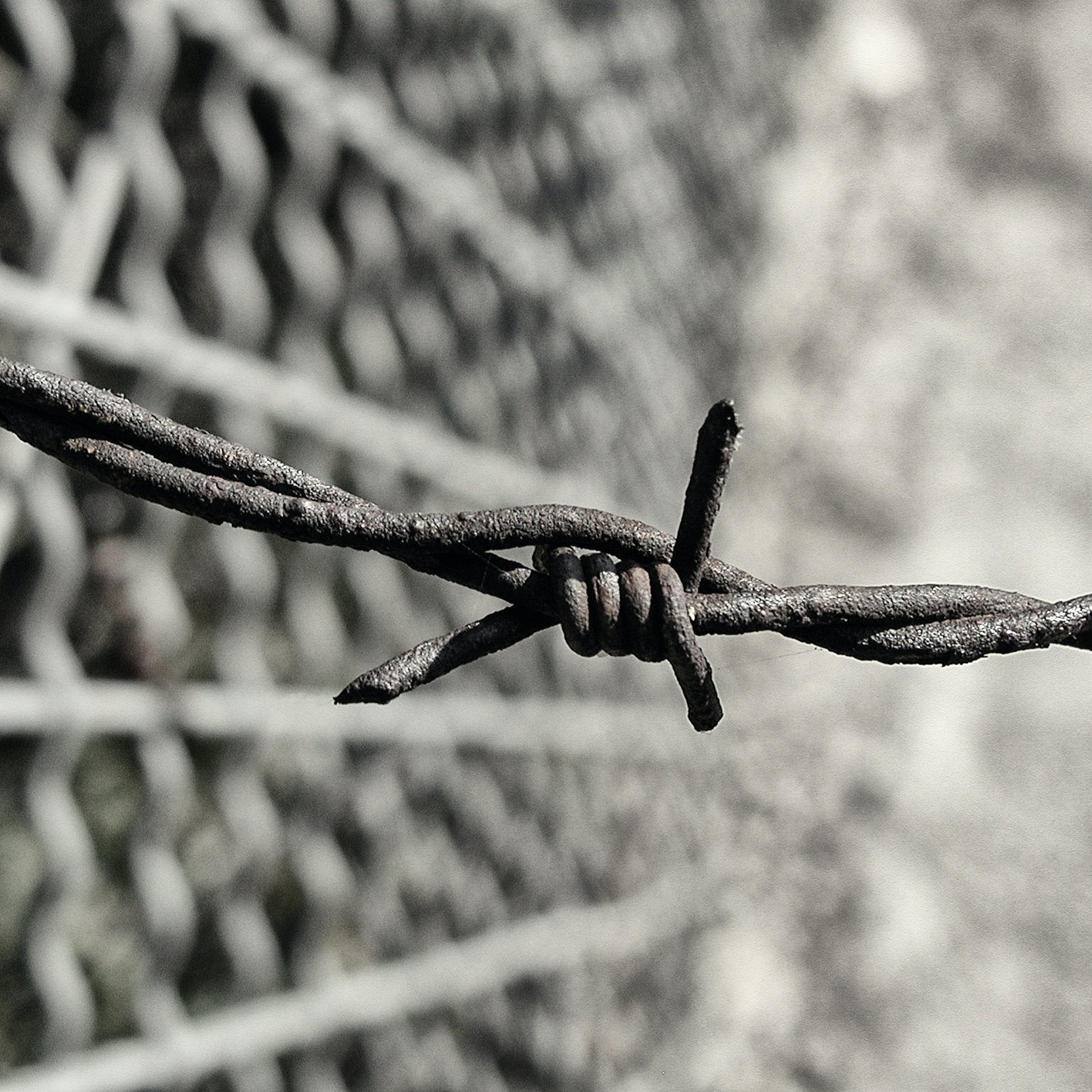 Cette image montre un gros plan de fil de fer barbelé. Le fil est tortueux et comporte des nœuds en spirale, créant un effet de barrière. Le fond est flou, avec une structure en grillage qui se dessine, indiquant que le fil de fer est peut-être installé pour délimiter un espace ou empêcher l'accès. La texture du fil semble rugueuse et rustique, ajoutant une impression de dureté et de résistance.