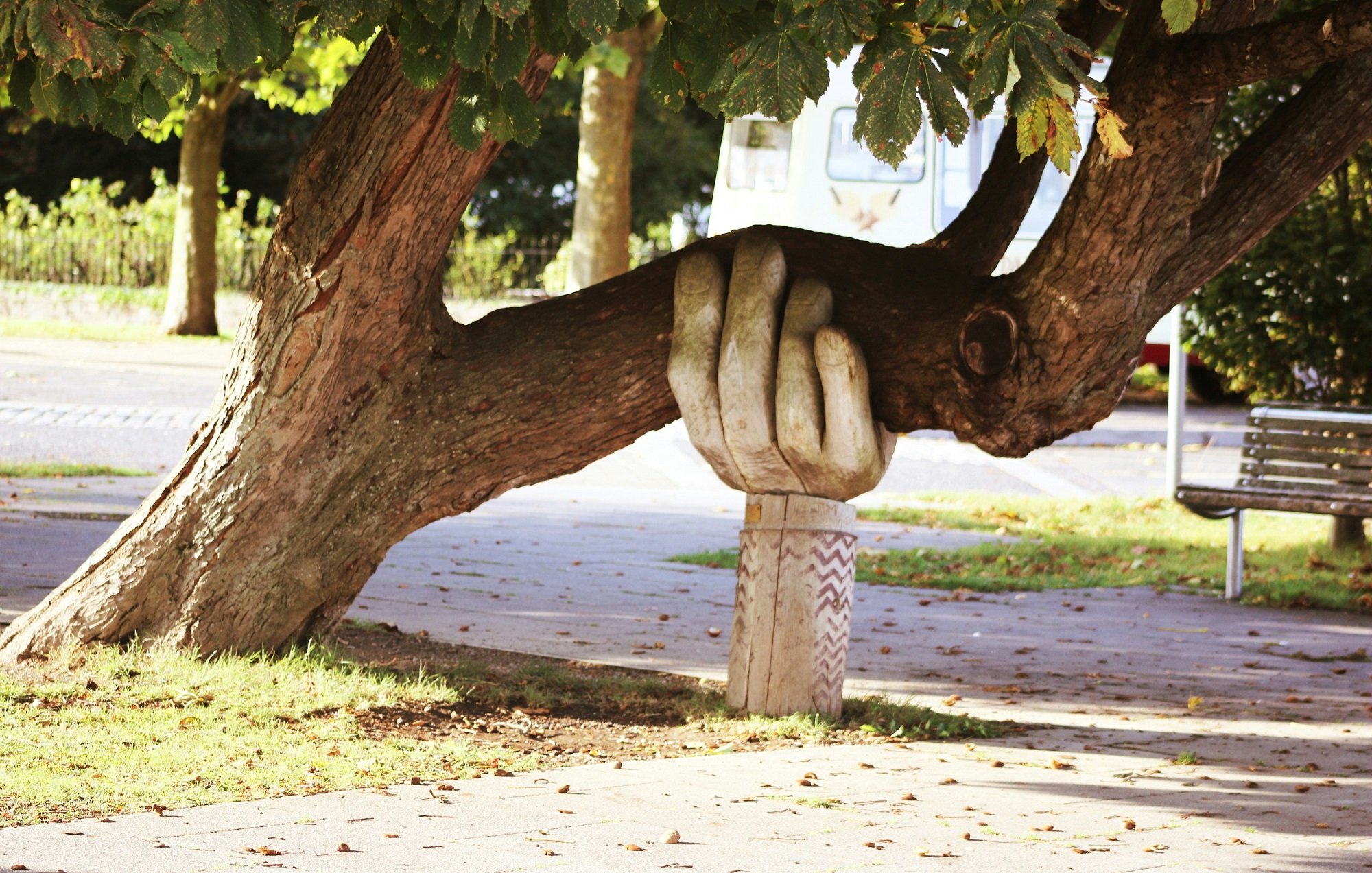 The image features a tree with a large, stylized hand sculpture appearing to hold onto a branch. The hand is carved out of a light-colored material and provides a whimsical or artistic touch to the scene. The setting appears to be a park, with grassy areas and pathways visible, along with some benches in the background. Sunlight filters through the leaves, creating a serene and inviting atmosphere.