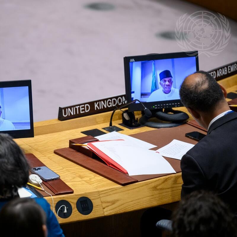 L'image montre une scène à l'intérieur d'une salle de conférence, probablement lors d'une réunion d'une organisation internationale comme l'ONU. Au premier plan, deux personnes sont assises à une grande table en bois, devant des ordinateurs qui affichent des visages sur écran. L'un des intervenants porte un couvre-chef traditionnel. On devine qu'ils sont en train d'assister à une vidéoconférence. Sur la table, il y a des documents empilés, des fournitures de bureau et des éléments d'identification des pays présents, comme ceux des États-Unis et du Royaume-Uni. L'atmosphère est formelle, accentuée par la présence de symboles et d'éléments décoratifs liés à l'organisation.