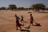 Région de Laisamis, 6 février 2023. Des femmes et un enfant traînent des bidons d'eau.