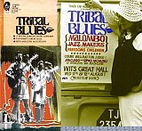 Des affiches pour les Tribal Blues, organisés par David Marks au sein de Wits.