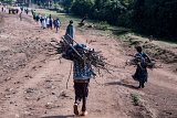 Sur les hauts plateaux éthiopiens, le bois est l'une des seules sources d'énergie pour les habitants.