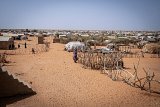 Dans le camp de Mbera, à la frontière avec le Mali, géré par le HCR, près de 100 000 personnes sont enregistrées (9 novembre 2023).