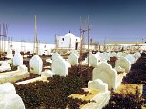 Le cimetière « Jardin d'Afrique », en périphérie de Zarzis, dit aussi « Paradis d'Afrique ».