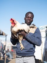 Bamba est fier de gérer un poulailler, dont le rendement est suffisant pour lui éviter de travailler dans les champs.