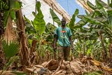 Ousmane Djom, dans l'une des nombreuses serres qui entourent la campagne d'Aït Amira.