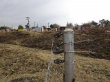 Un grillage saboté de Tharisa à proximité des habitations.