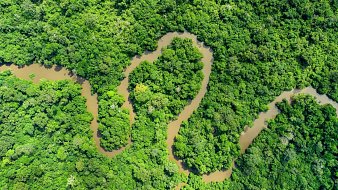 Imaginez un vaste paysage de jungle dense, rempli de feuillages luxuriants. Les arborescences forment un épais tapis de couleur verte, parsemé de différentes nuances allant du vert clair au vert foncé. À travers cette verdure, un cours d'eau serpentant s'étend, avec des eaux brunâtres qui reflètent la lumière. Le fleuve s'enroule et se tord, créant des motifs sinueux qui traversent la forêt. On peut presque sentir l'humidité de l'air et entendre le doux murmure de l'eau qui coule entre les arbres. C'est un endroit sauvage et paisible, où la nature règne en maître.