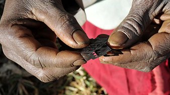 L'image montre des mains, aux doigts marqués et usés, tenant délicatement des lames de rasoir. La peau est foncée, avec des callosités et des signes visibles d'une vie de travail. Les lames sont métalliques et brillante, contrastant avec la texture rugueuse des mains. En arrière-plan, on devine une surface naturelle, peut-être de l'herbe ou de la terre, ce qui pourrait évoquer un environnement rural. L'ensemble dégage une impression de soin et de précaution dans la manipulation de ces objets tranchants.