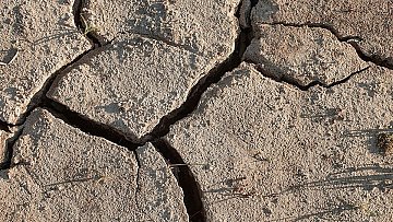 L'image montre un terrain aride et craquelé. Les fissures forment des motifs irréguliers sur la surface, révélant une texture rugueuse et sèche. On peut imaginer que ce sol est très dur, probablement en raison d'un manque d'eau. Quelques petits brins d'herbe peuvent être aperçus parmi les crevasses, suggérant une vie persistante malgré les conditions difficiles. L'ensemble évoque une ambiance de chaleur et de sécheresse.