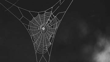 L'image représente une toile d'araignée délicate, suspendue dans l'air. La toile est composée de nombreux fils fins, formant un motif en spirale qui converge vers le centre. Ce dernier est souvent occupé par une petite araignée, bien qu'elle ne soit pas visible ici. Le fond est sombre, ce qui met en valeur la légèreté et la transparence des fils de la toile. Les détails du design évoquent une impression de finesse et de structure complexe, créant un contraste saisissant avec l'arrière-plan. Cette scène transmet une atmosphère de calme et de mystère, rappelant la beauté de la nature.