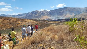 La scène dépeint un paysage rural habité par des personnes marchant sur un terrain partiellement brûlé. Au premier plan, plusieurs individus, habillés de vêtements décontractés, avancent avec des outils ou des équipements à la main. L'environnement est dominé par des herbes sèches et des terres noircies, traces d'un feu récent. À l'arrière-plan, on aperçoit des collines et des montagnes qui se dressent majestueusement sous un ciel bleu parsemé de nuages blancs. L'atmosphère est celle d'une randonnée dans la nature, mêlant effort humain et les conséquences d'une activité agricole ou un incendie. L'ensemble évoque une interaction entre l'homme et son environnement, avec une certaine gravité due à la destruction visible.