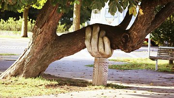 L'image montre un arbre avec un tronc solide, sur lequel repose une grande main sculptée en pierre. Cette main semble soutenir une branche du même arbre, créant une impression d'harmonie entre la nature et l'art. Le sol autour est couvert de feuilles, et on peut apercevoir un banc en arrière-plan, dans un espace ouvert et agréable. La lumière naturelle éclaire la scène, ajoutant une atmosphère sereine et accueillante.